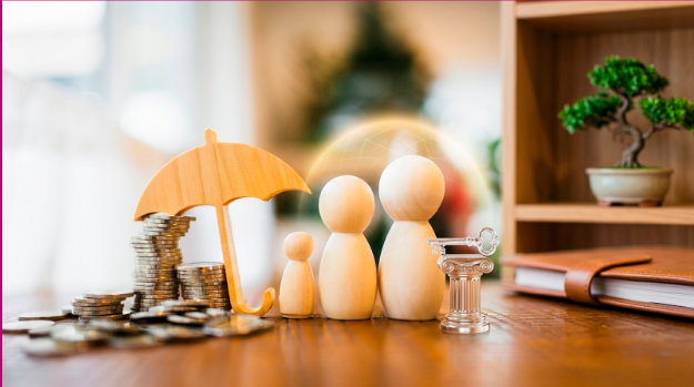 Life Insurance as a Financial Asset